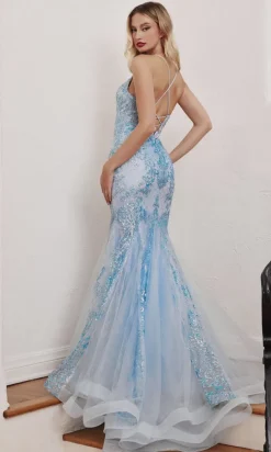 Long Formal Dress CC2279 by Ladivine