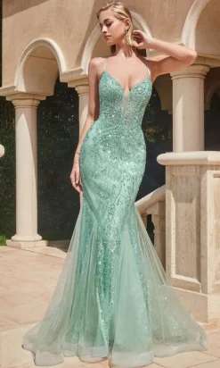 Long Formal Dress CC2253 by Ladivine