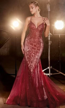 Long Formal Dress CC2253 by Ladivine