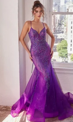 Long Formal Dress CC2253 by Ladivine