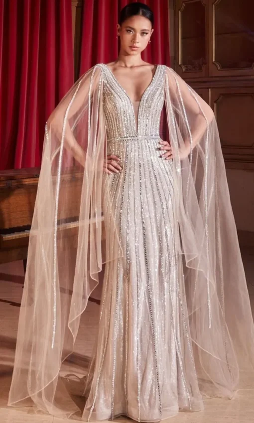 Long Formal Dress CD865 by Ladivine