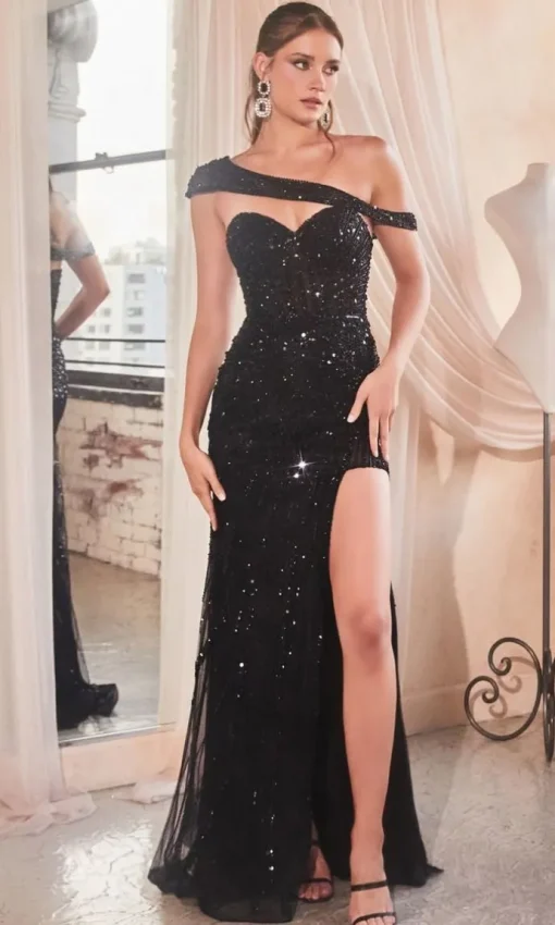 Long Formal Dress CD0218 by Ladivine