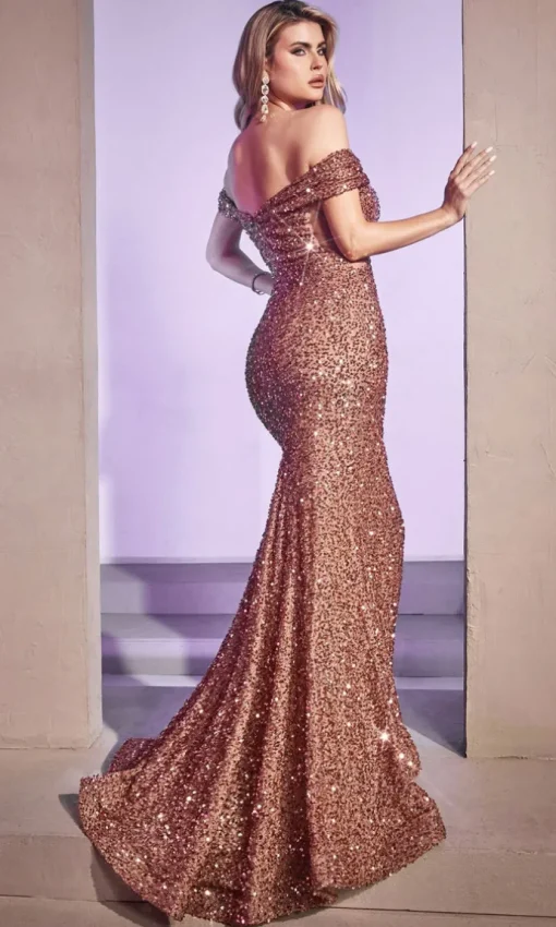 Long Formal Dress CD975 by Ladivine