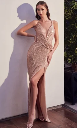 Long Formal Dress CD279 by Ladivine