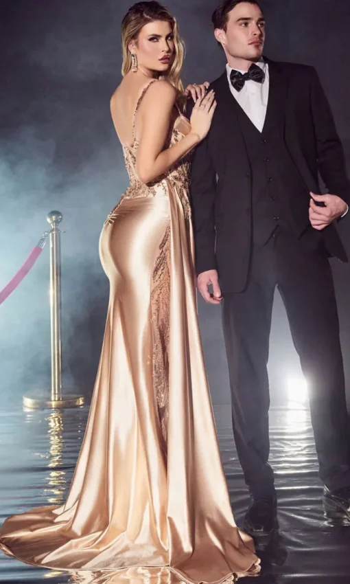 Long Formal Dress CDS417 by Ladivine