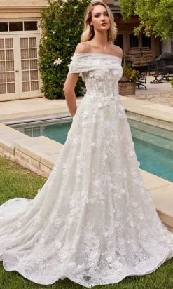 Long Formal Dress CD860W by Ladivine