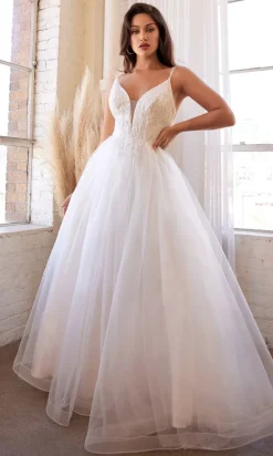 Long Formal Dress CD0154W by Ladivine