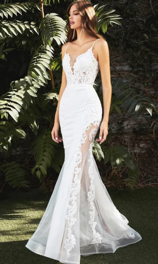 Long Formal Dress CD937W by Ladivine