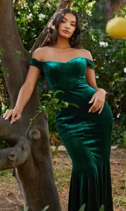 Long Formal Dress CH139 by Ladivine