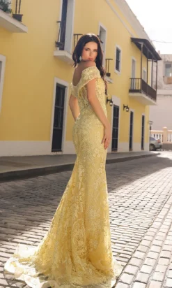 Nox Anabel Long Formal Dress c1455